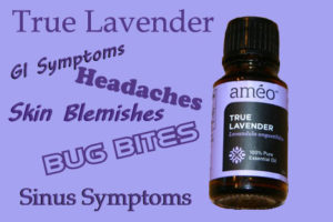 True Lavender Great for helping with bug bites, headaches, GI issues and more!