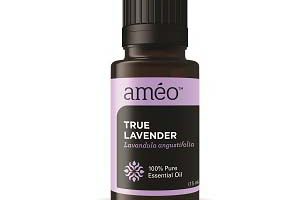 Ameo essential oil True Lavender Bug Bites
