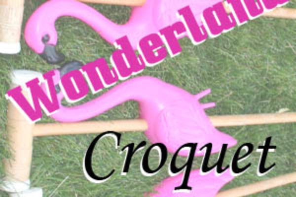 Wacky Wonderland Croquet A fun game of Croquet we played and how we did it.