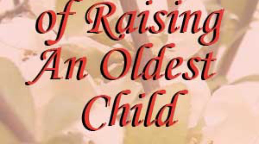 Part 2: Dos and Don’ts of Raising An Oldest Child Continued. . .