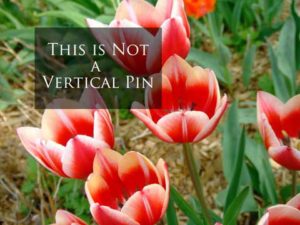 Verticall Pins- What are they exactly?! This is NOT a vertical pin