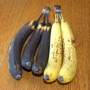 Flavorful Gluten Free Banana Bread- These bananas are crying to be made into banana bread!