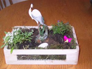 Personal Mini Gardens- They have their own style!