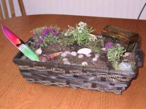 Personal Mini Gardens because not every girl likes fairies!