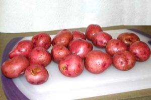 Sunday's Best Garlic Red Potatoes with Rosemary- Use red potatoes