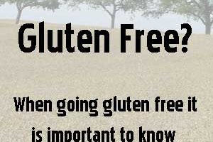 Grains- Which Ones Are Gluten Free?