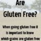 Grains- Which Ones Are Gluten Free?