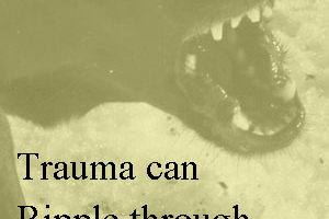 Trauma can ripple through your life for decades or longer