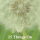 25 Things On My Homeschool Wish List- 2017