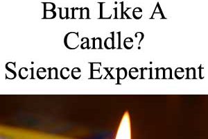 Can A Crayon Burn Like A Candle? Homeschool Science Experiment