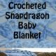Snapdragon Stitch- Crochet Baby Blanket
