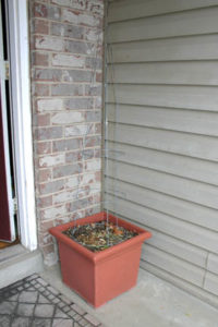 Planter box is used as a base for the tomato cage Christmas Tree