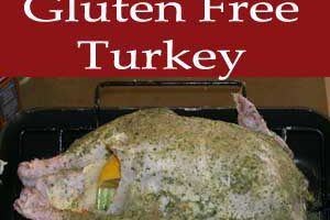 Moist Gluten Free Turkey- So juicy and delicious!