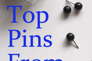 Top Pins From Shannon's Grotto 2017- I review what I did with these pins that aided in their performing well.