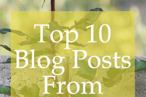 Top 10 Blog Posts From Shannon’s Grotto- 2017