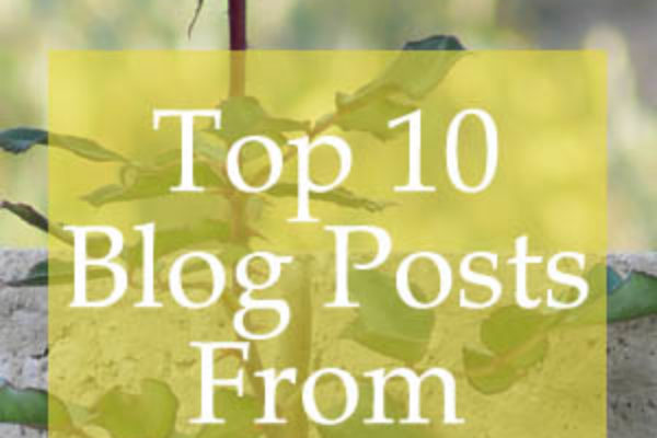 Top 10 Blog Posts From Shannon's Grotto 2017