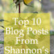 Top 10 Blog Posts From Shannon’s Grotto- 2017