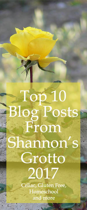 Top 10 Blog Posts From Shannon's Grotto 2017