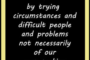 We are constantly being put to the test by trying circumstances and difficult people and problems not neccesarily of our own making--Terry Brooks