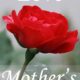 Gifts Mom Will Love For Mother’s Day-2018
