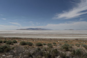 Antelope Island- Utah- North side of the road