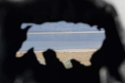 Antelope Island- Utah - Buffalo