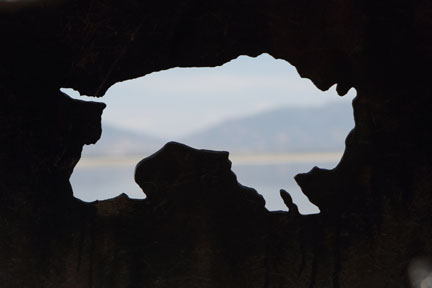 Antelope Island- Utah - Buffalo