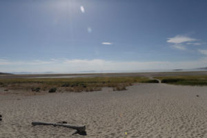 Antelope Island- Utah- Down to the water