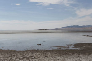 Antelope Island- Utah- Down to the water