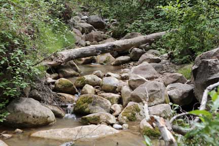 Grotto Trail- Payson Utah- Low water year- easy hike