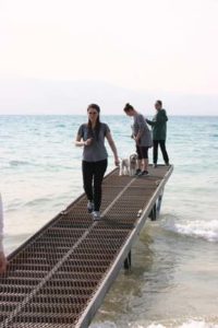 Boat dock on the East side of Bear Lake