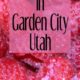 Raspberry Days In Garden City, Utah!