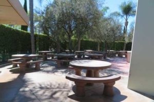 Survival Guide to Disneyland with Crohn's and celiac disease- picnic area
