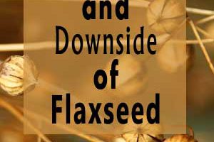 The benefits and downside of flaxseed- gluten free issues