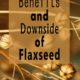 The Benefits and Downside of Flaxseed- gluten free issues