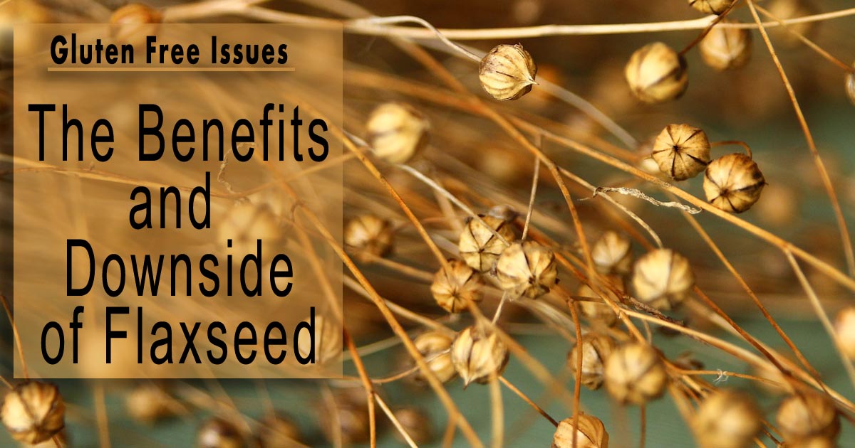 The Benefits and Downside of Flaxseed gluten free issues * Shannon's