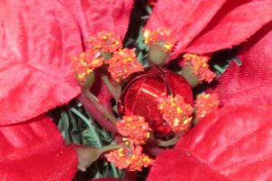 Outdoor Holiday wreath- wire bell to poinsettia