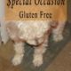 Special Puppy Treat For Special Occasions- Gluten Free