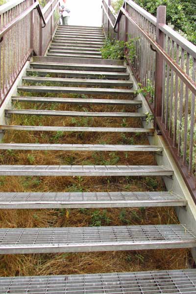 Stairs to a viewing area at Shoshone Falls