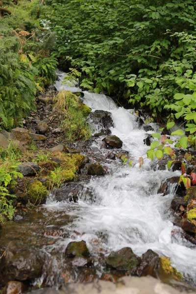 Wahkeena Falls