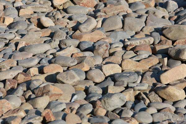 Cool, smooth rocks on Indian Beach in Ecola State Park