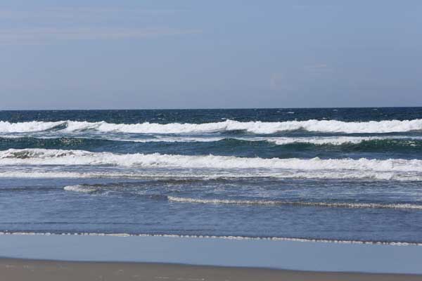 Gearhart Beach Oregon- It was very windy!