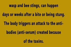 Serum sickness is a rare reaction people with autoimmune conditions sometimes develop to bug bites, bee and wasp stings.